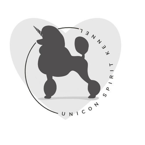 Unicorn Spirit FCI